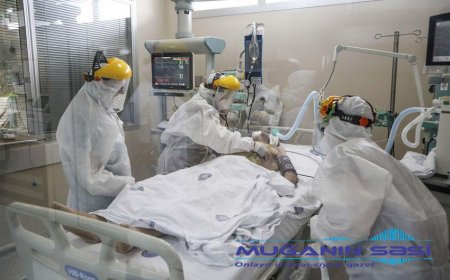 Azərbaycanda daha 43 nəfər koronavirusdan öldü