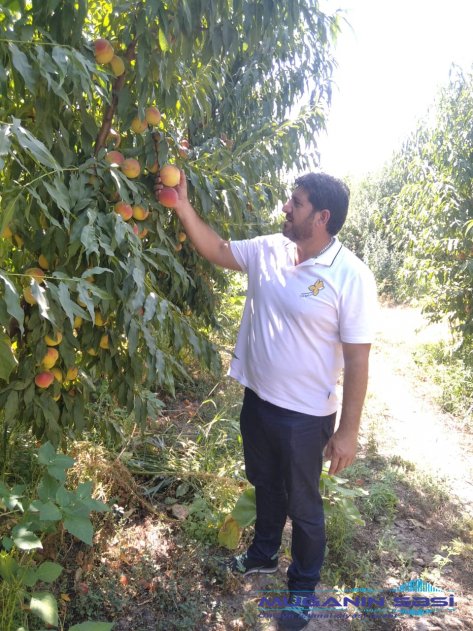 “Cənnət bağı”nın sahibi